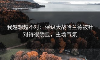 我越想越不对：保级大战哈兰德被针对得很明显，主场气氛