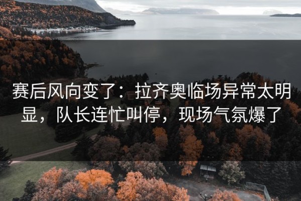 赛后风向变了：拉齐奥临场异常太明显，队长连忙叫停，现场气氛爆了