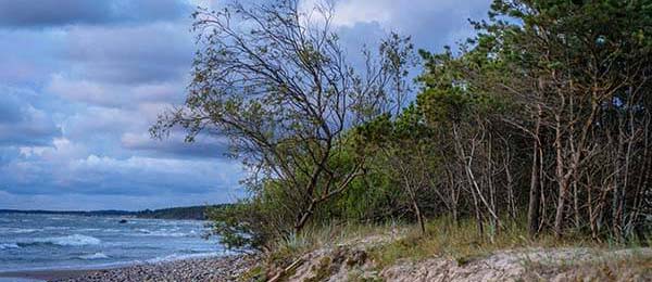最让人愣住的是：西甲定位球套路藏得深，马竞掏出来就见血，结局居然反转