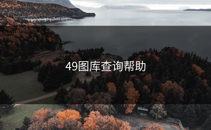 49图库查询帮助