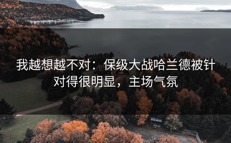 我越想越不对：保级大战哈兰德被针对得很明显，主场气氛
