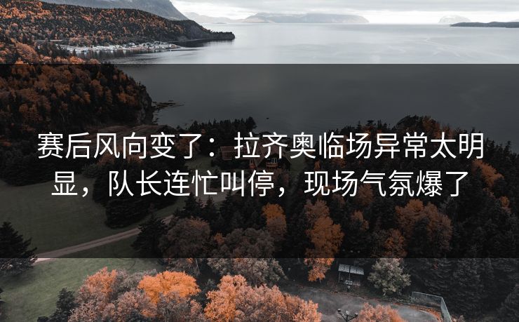赛后风向变了：拉齐奥临场异常太明显，队长连忙叫停，现场气氛爆了